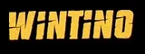 Wintino casino logo
